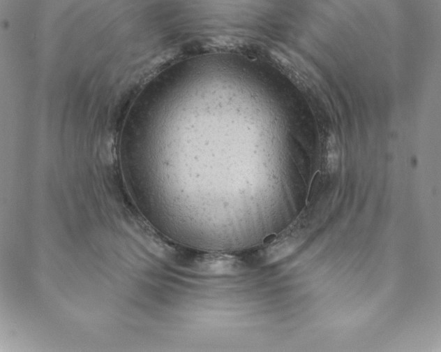 X0000088650514200706081641