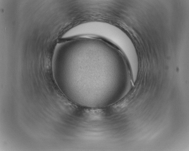 X0000088650517200706081641