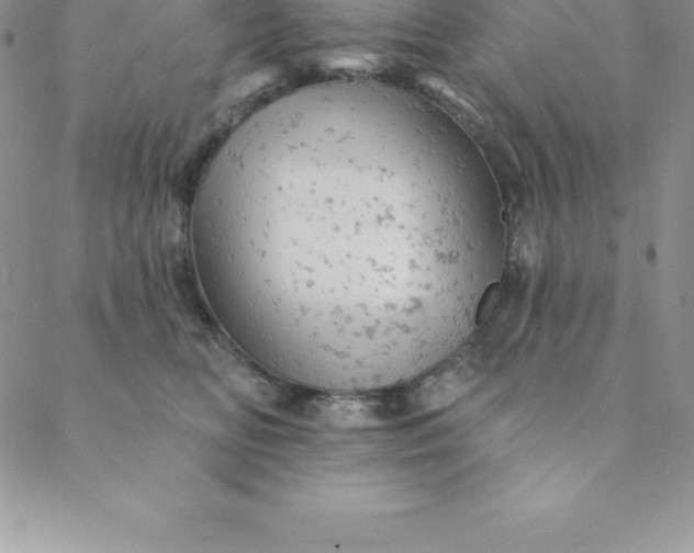 X0000088650518200706081641