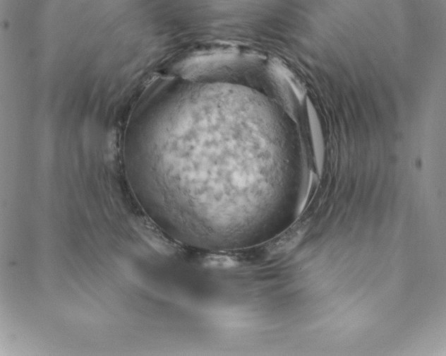 X0000088650519200706081641