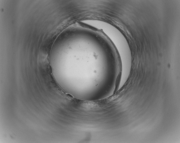 X0000088650521200706081641