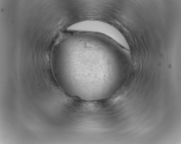 X0000088650523200706081641