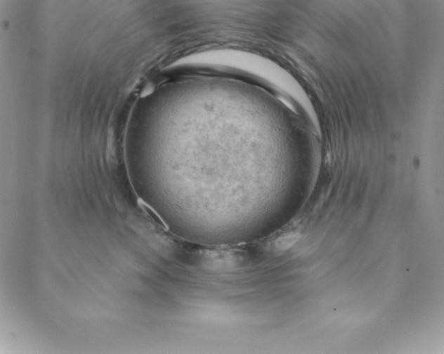 X0000088650524200706081641