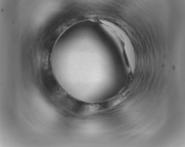 X0000088650525200706081641