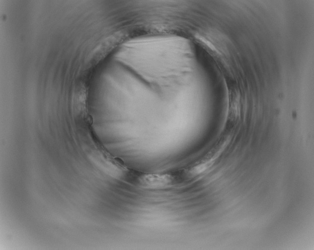 X0000088650526200706081641