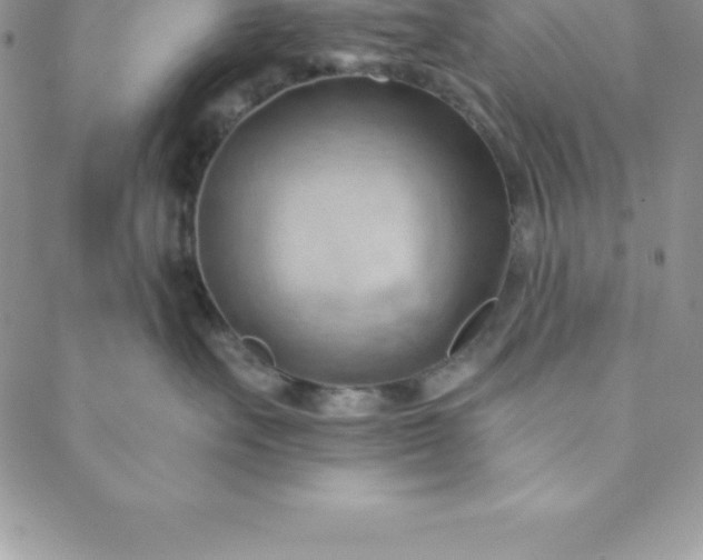 X0000088650527200706081641