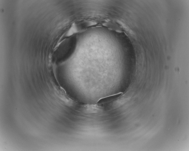 X0000088650528200706081641