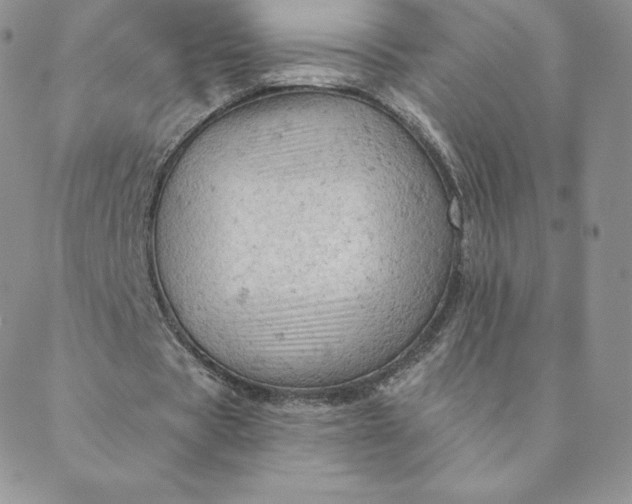 X0000088650529200706081640