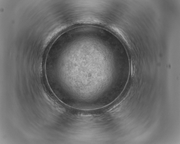 X0000088650531200706081640