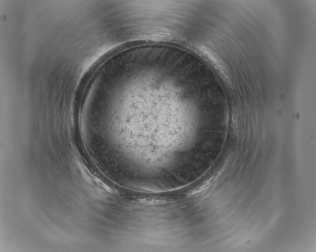 X0000088650532200706081640