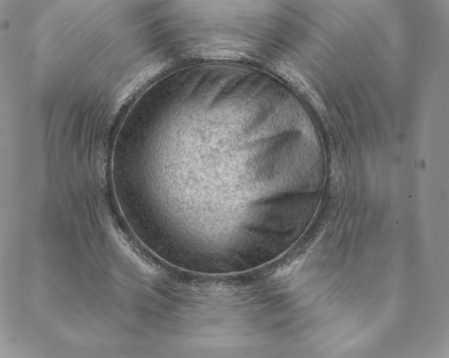 X0000088650533200706081640