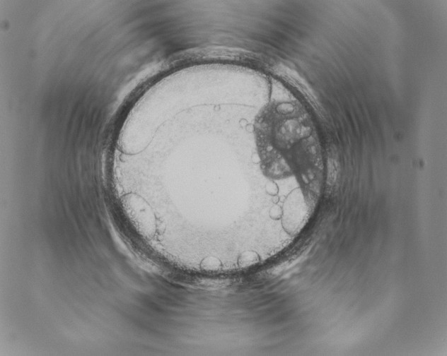 X0000088650534200706081640