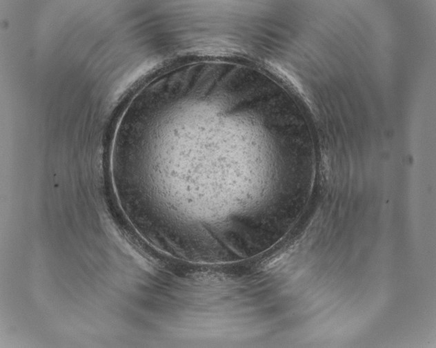 X0000088650535200706081640