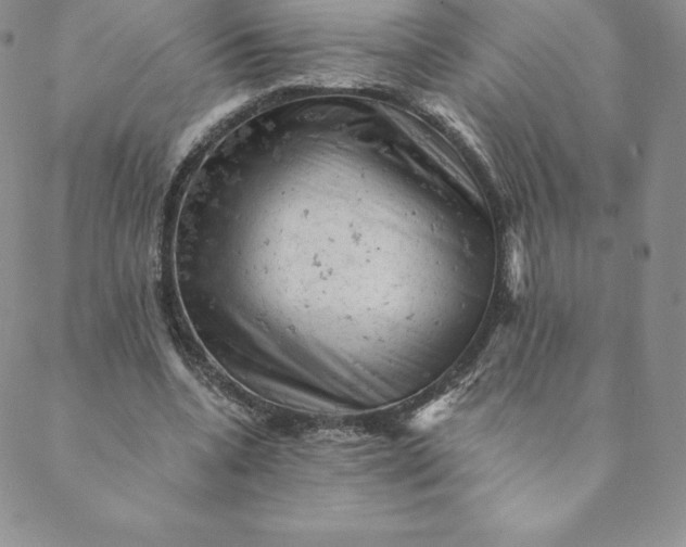 X0000088650536200706081640