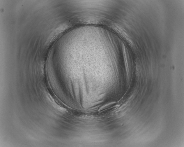 X0000088650537200706081640