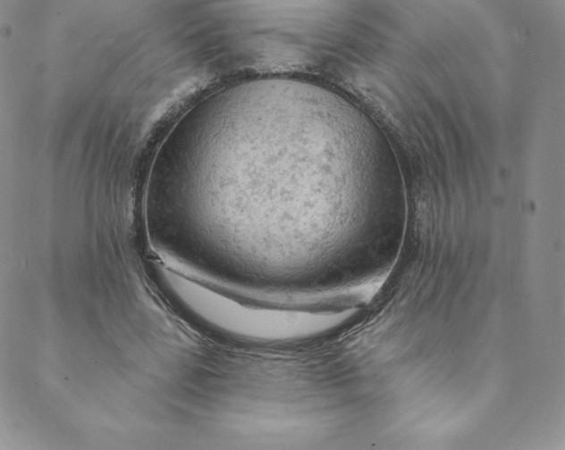 X0000088650539200706081640