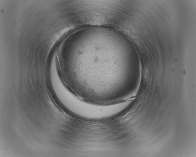 X0000088650540200706081640