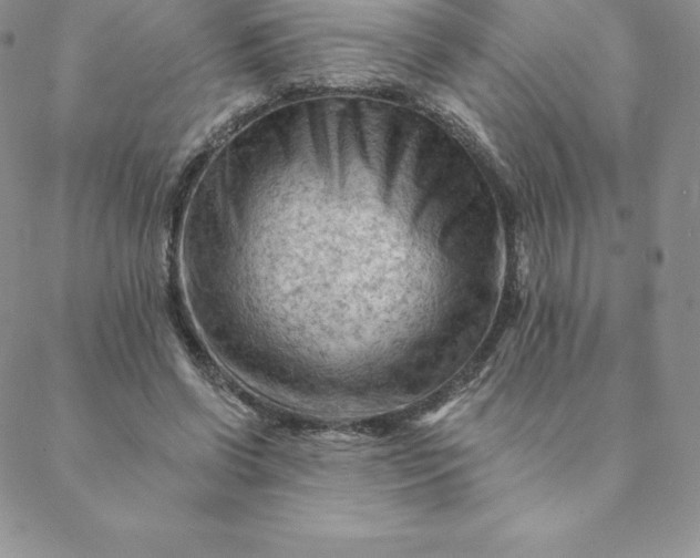 X0000088650542200706081640