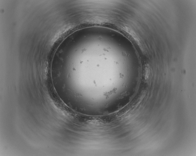 X0000088650544200706081640