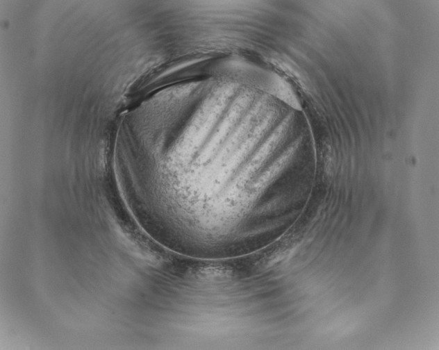 X0000088650546200706081640