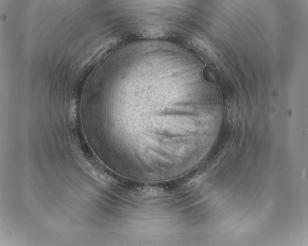 X0000088650549200706081640