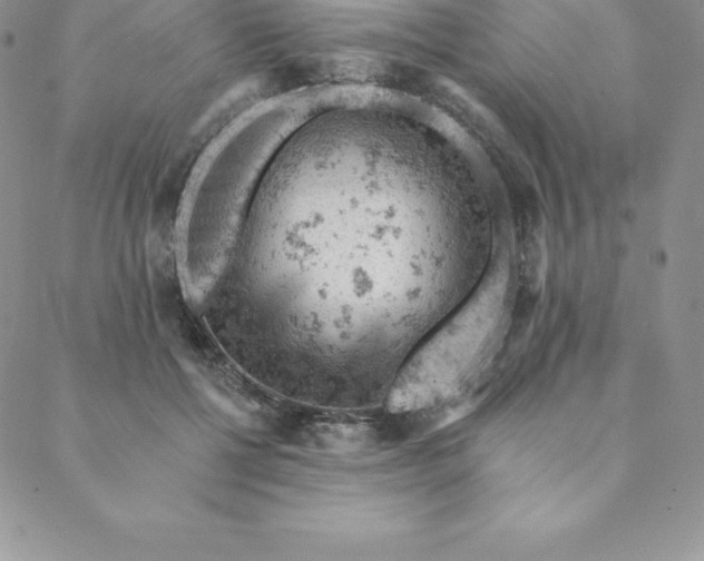 X0000088650552200706081640