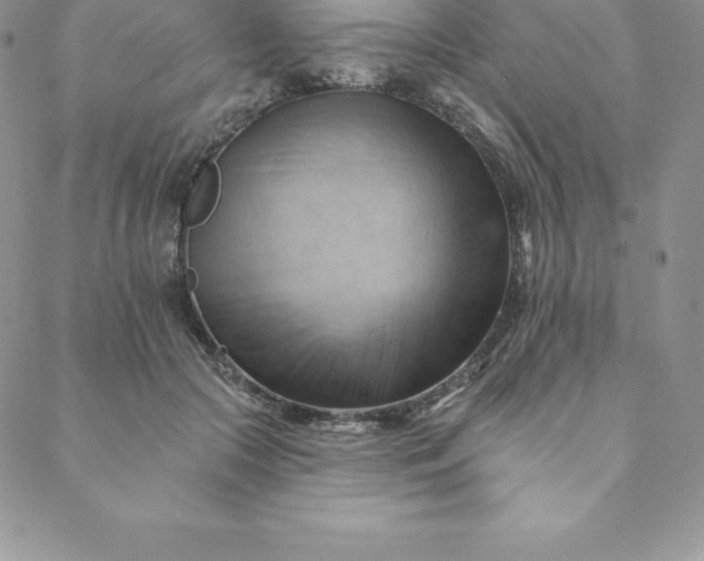 X0000088650553200706081640