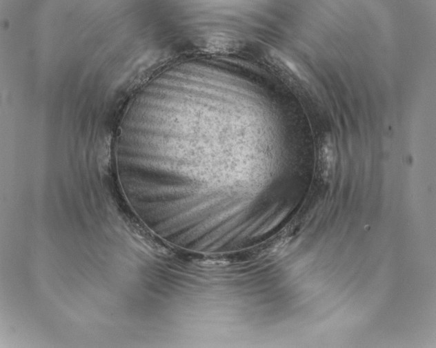 X0000088650554200706081640