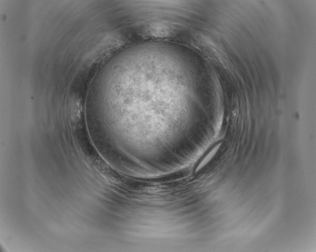 X0000088650555200706081640