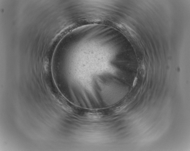 X0000088650556200706081640