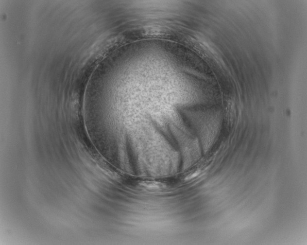 X0000088650557200706081640