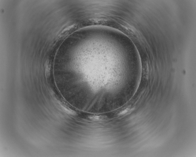 X0000088650558200706081640