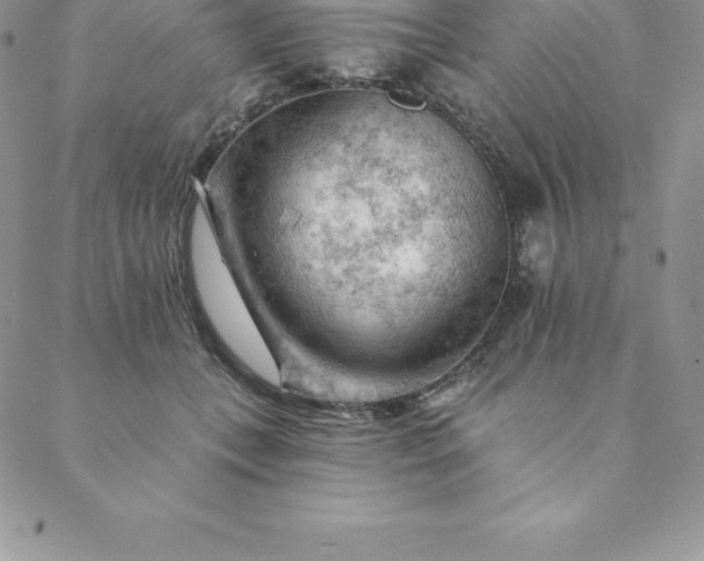 X0000088650559200706081640