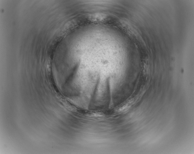 X0000088650561200706081640