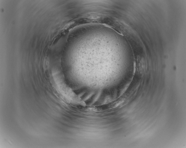 X0000088650562200706081640