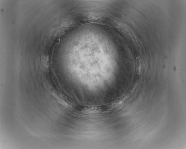 X0000088650563200706081640