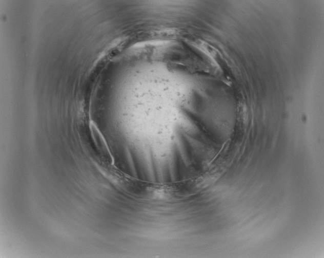 X0000088650564200706081640