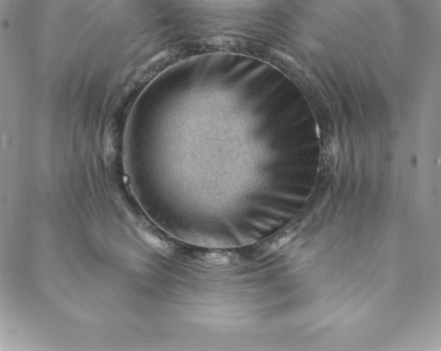 X0000088650566200706081640