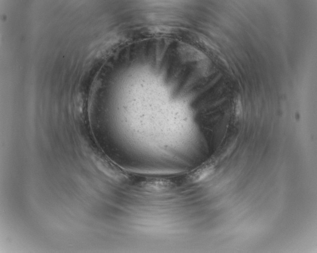 X0000088650567200706081640