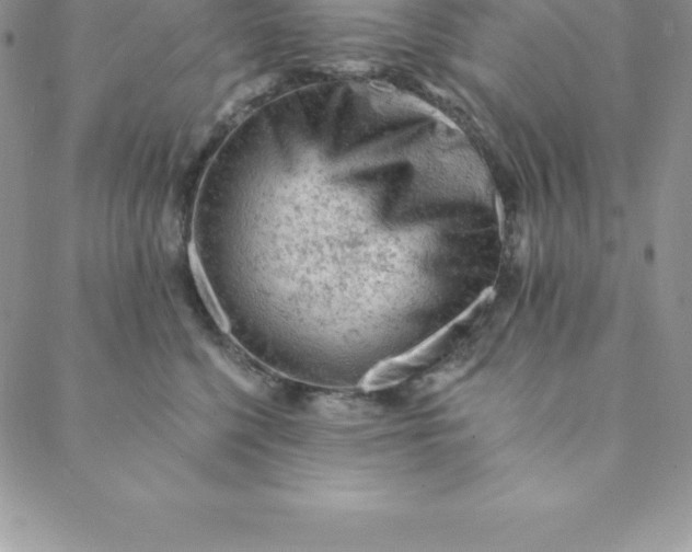 X0000088650568200706081640