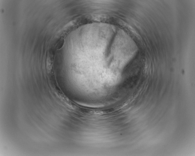 X0000088650569200706081640