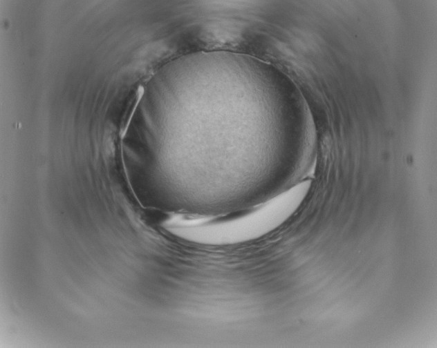 X0000088650570200706081640