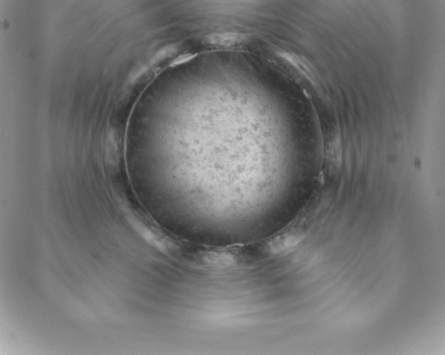 X0000088650572200706081640