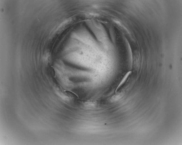 X0000088650574200706081640