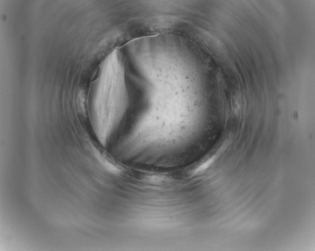 X0000088650575200706081640