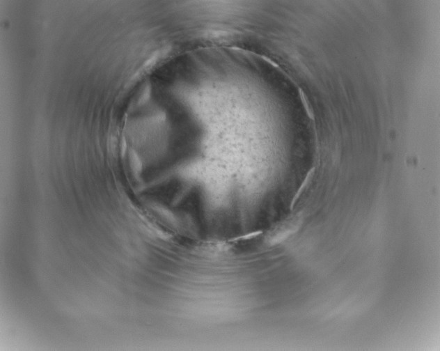 X0000088650576200706081641