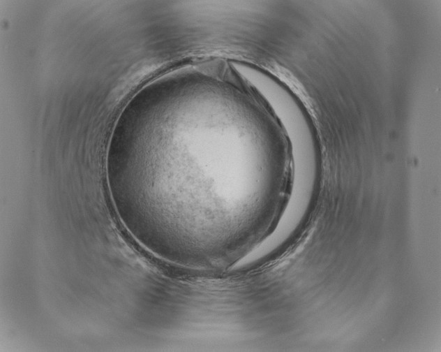 X0000088650577200706081640