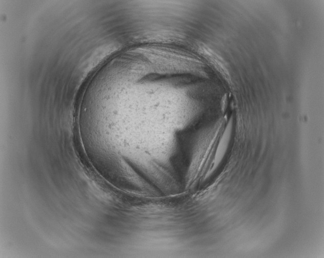 X0000088650578200706081640