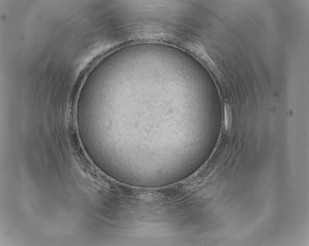 X0000088650579200706081640