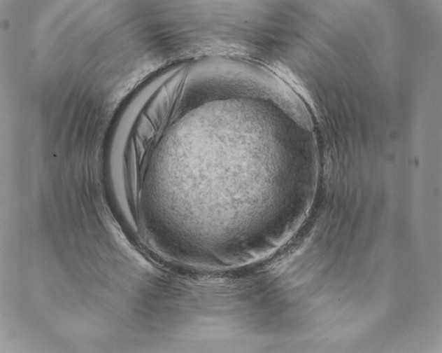 X0000088650581200706081640